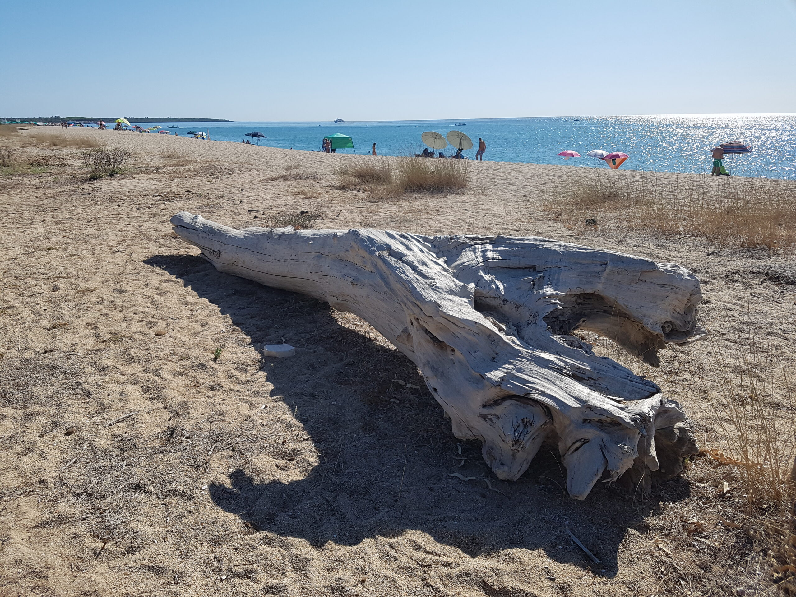 Playas de Cerdeña - Playa de Su Petrosu Vista parcial de la playa de Su Petrosu