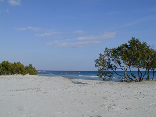 Playas de Cerdeña - Playa de Cala Ginepro Vista parcial de la playa de Cala Ginepro