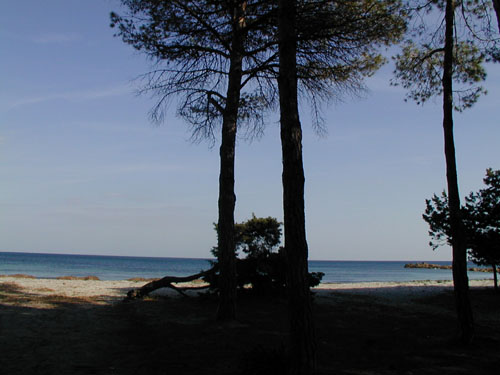 Playas de Cerdeña - Playa de Cala Ginepro Vista parcial de la playa de Cala Ginepro