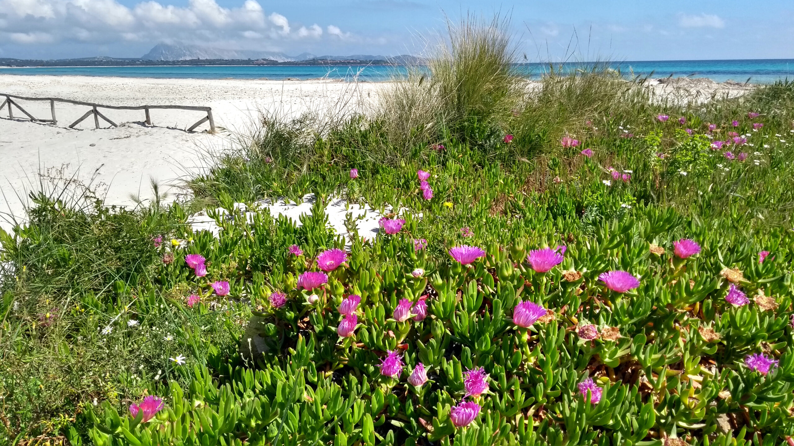 Vista parcial de la playa de Budoni - Uno de los lugares para visitar durante las vacaciones en Cerdeña